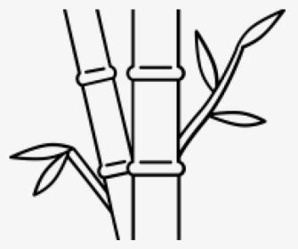 Drawn Bamboo Kawayan - Chinese Painting Bamboo Png, Transparent Png ...