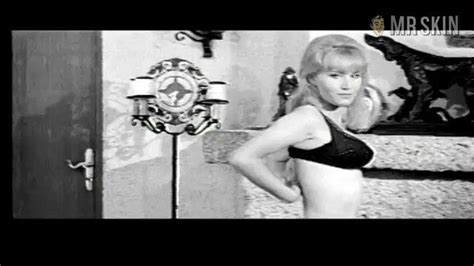 The Alley Cats Nudity See Nude Pics Clips Mr Skin