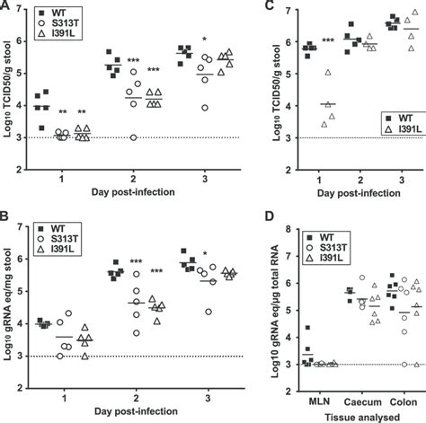 MNV NS7 RNA Polymerase Mutant I391L Shows Delayed Replication Kinetics