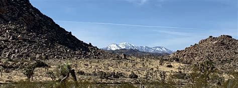 Joshua Tree Hiking Trails