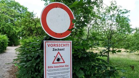 Zecken Alarm im Rhein Neckar Kreis Gesundheitsamt rät zu Impfung