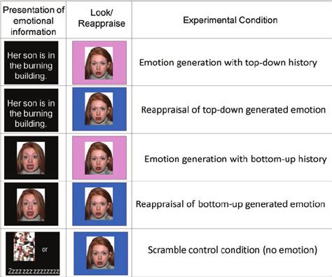 Emotion Generation And Regulation Task Participants Were First Download Scientific Diagram