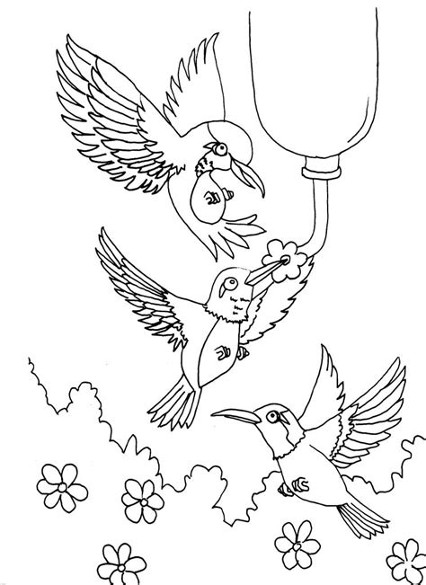 Free Printable Hummingbird Coloring Pages For Kids