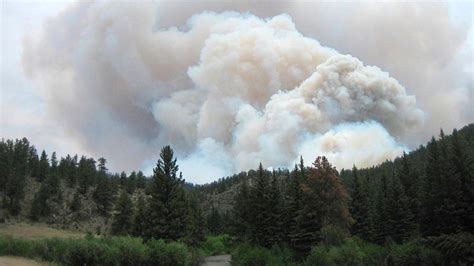 Hay 95 incendios forestales activos en México Conafor