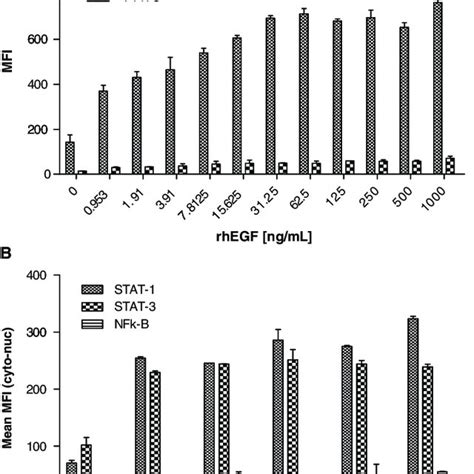 Epidermal Growth Factor Egf Induced Phosphorylation Of Epidermal