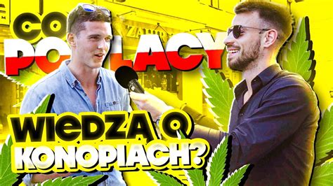 czy Polacy są za LEGALIZACJĄ MARIHUANY Sonda Uliczna o Konopiach