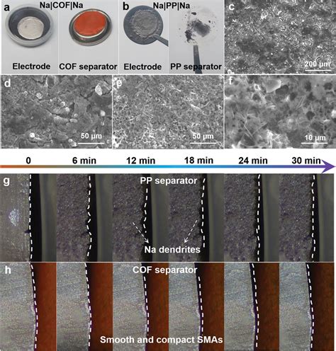 纳米人 Adv Energy Mater：共价有机框架材料隔膜sei工程实现无枝晶钠金属负极