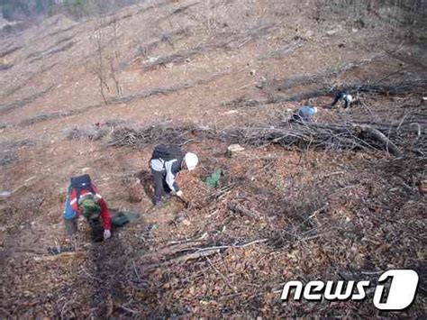 산림청 올해도 사유림 매수 박차산림 공익기능 확보 뉴스1