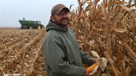 Nitrogen fertilizer rates key factor for Iowa corn production