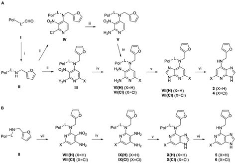 Synthesis Of H And Cl Imidazo B Pyridines Deazapurine