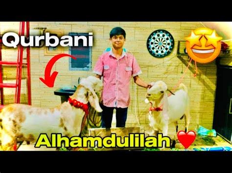 Finally Qurbani Ka Janwar Ly Lia Mandi Loot Lia YouTube