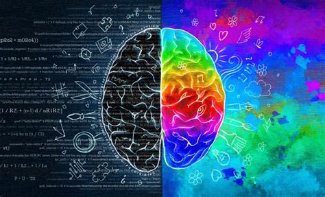 CREATIVE-RIGHT VS LOGICAL-LEFT: FACT OR MYTH | Jim Kwik