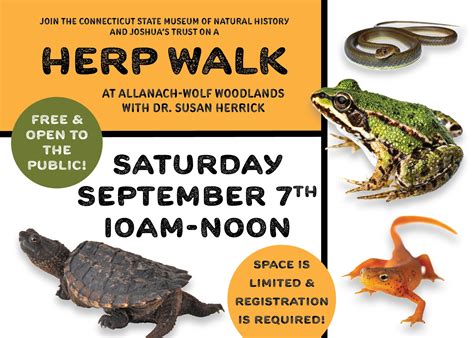 Museum Hosts Guided Walk in Search of Frogs, Salamanders, Snakes and