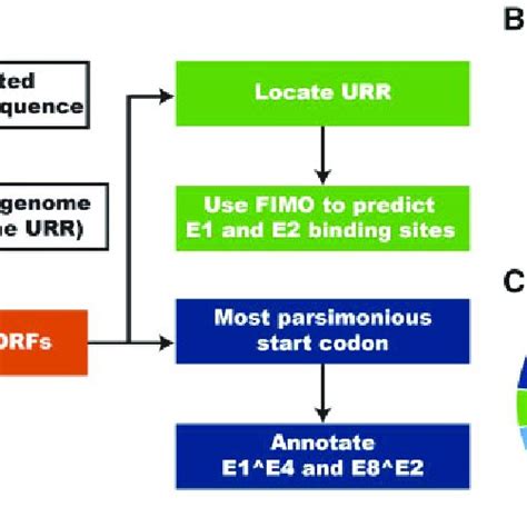 A Flowchart Illustrating The Puma Algorithm See The Methods Section