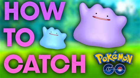 How To Catch Ditto In Pokemon Go November Youtube