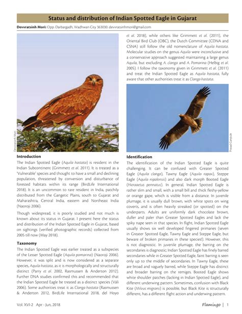 Pdf Status And Distribution Of Indian Spotted Eagle Clanga Hastata In