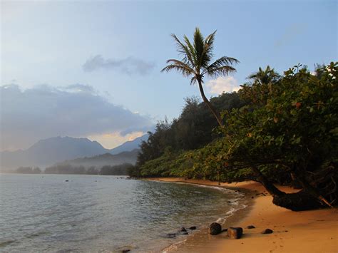 Hanalei Bay | Hanalei bay, Hanalei, Ocean