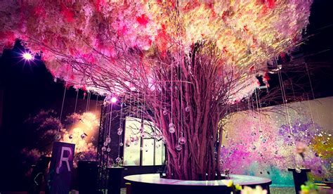FLOWERS BY NAKED ー桜ー NAKED FLOWERS 桜 世界遺産二条城