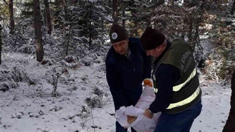 Yaban hayvanları için doğaya 350 kilogram yem bırakıldı Zonguldak