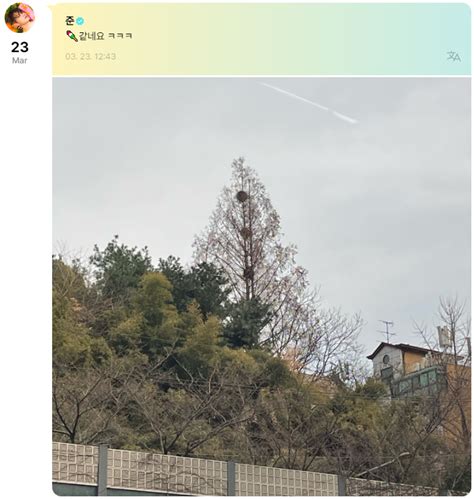 Seventeen Weverse Weibo On Twitter Seventeen Weverse Jun It