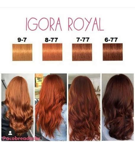 Tinta Igora Royal Schwarzkopf Nr 6 77 Ox Igora 20 Vol Mercadolivre