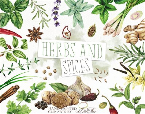 Herbs And Spices Clipart