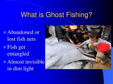 PPT - Ghost Fishing PowerPoint Presentation - ID:4145479