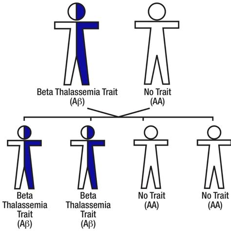 Pin On Sickle Cell Trait Alpha Thalassemia Trait And Beta Thalassemia