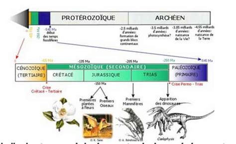 Introduction Sur La Disparition Des Dinosaures Dossier