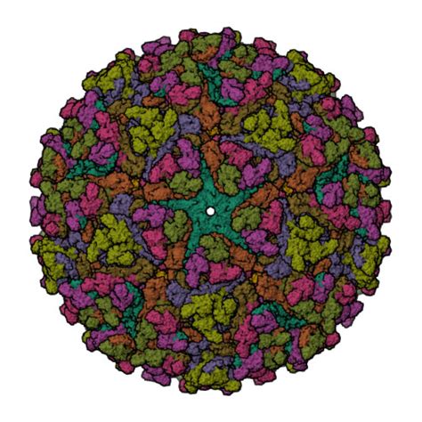 Rcsb Pdb Fd Cryo Em Structure Of An Alphavirus Getah Virus