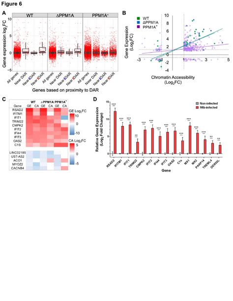 Differential Chromatin Accessibility Is Concordant With Differential