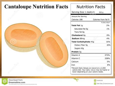 cantaloupe nutrition facts - Mistery Dog