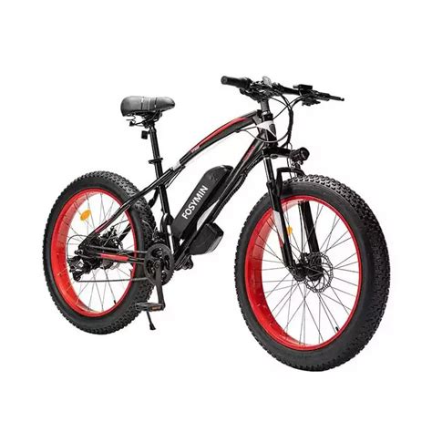 Philodo H Pro All Terrain Electric Fat Bike Inch Lupon Gov Ph