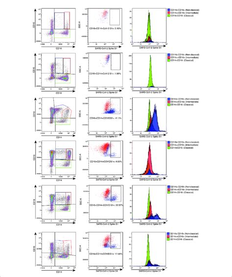 High Parameter Flow Cytometric Quantification Of SARS CoV 2 S1