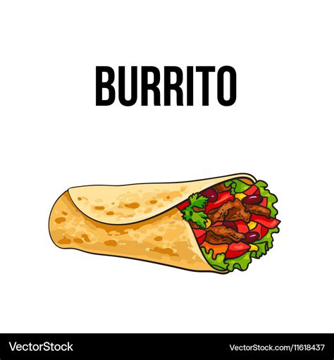 Mexican burrito ground meet with vegetables Vector Image