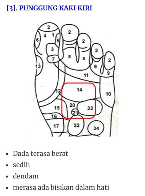 Pin Oleh Yanie Yar Di Olga Akupresur Refleksiologi Pendidikan Kesehatan