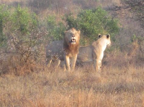 Nelspruit Pictures Traveler Photos Of Nelspruit Mpumalanga Tripadvisor