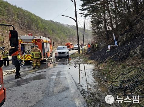 속보 울진 두천리 야산서 산불 46분만에 주불 진화인명피해 없어 네이트 뉴스