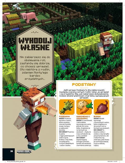 Minecraft Oficjalny magazyn 2 2018 Prasa Księgarnia Internetowa