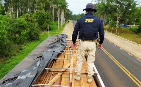 PRF apreende veículo transportando carga de produto florestal ilegal em