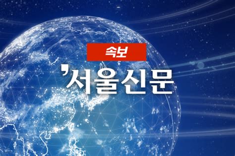 속보 경찰 “‘유령 영아 400건 수사 중15명 사망 확인” 서울신문