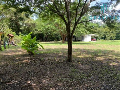 Propiedad En Santa Cruz Guanacaste Bodega Casa 6000m2 ID 1249