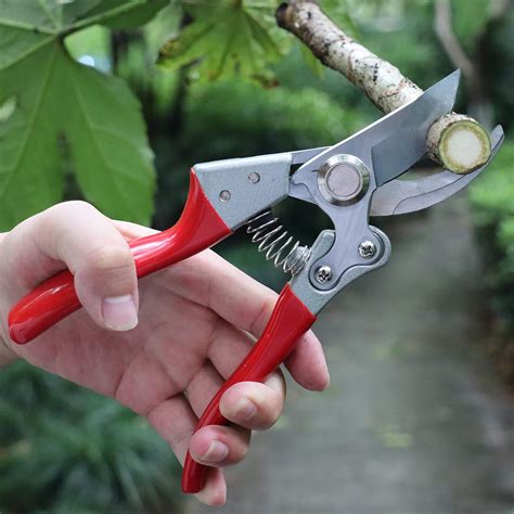 pruner  scissors  caitlyn lavater blog