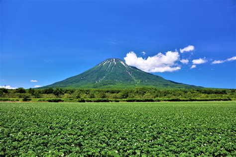 【40～50代が選ぶ】「一人旅におすすめの都道府県」ランキングtop24！ 第1位は「北海道」【2022年最新調査結果】（16） 人気