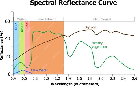 Premium Vector | Spectral reflectance curves