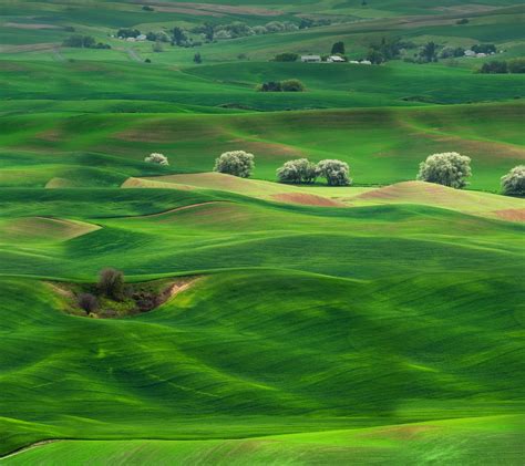 Wallpapers Of Grassland Wallpaper Cave