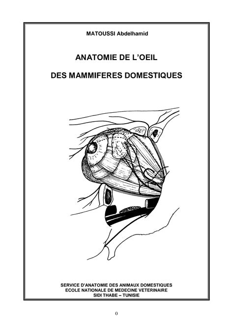 SOLUTION Anatomie De L Oeil Des Mammiferes Domestiques Studypool