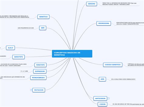 CONCEPTOS BASICOS DE GENETICA Mind Map