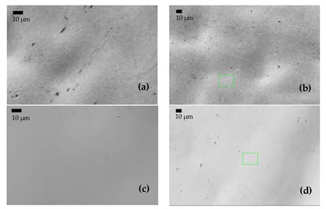 Effect Of Si And B On The Electrochemical Behavior Of Feconicr Based