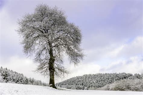 17 Tips for Winter landscape photography - The Landscape Photo Guy